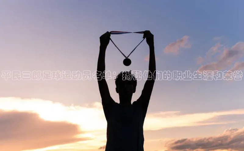 辉达注册官网入口百度集团平民三郎足球运动员名单：揭秘他们的职业生涯和荣誉