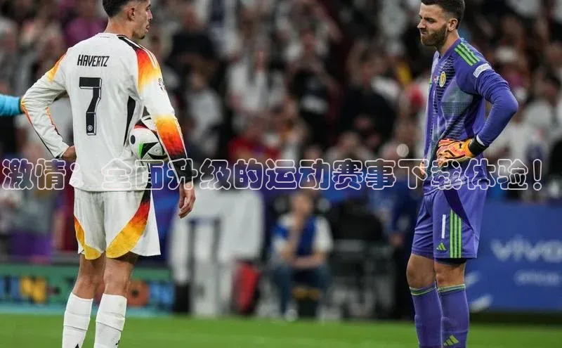 辉达App登录入口百度人工翻译激情：全面升级的运动赛事下载体验！