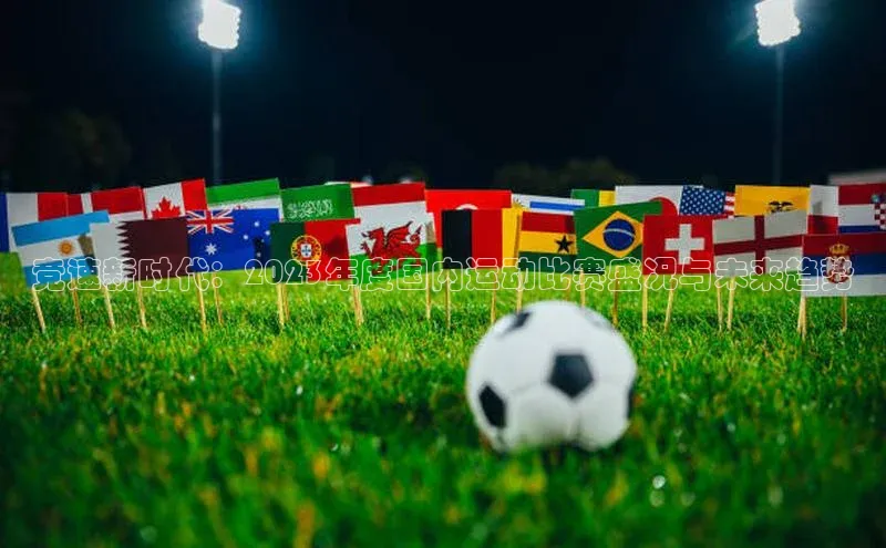 辉达平台登录入口宣亚国际竞速新时代：2023年度国内运动比赛盛况与未来趋势