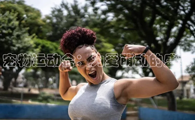 宠物运动会：为爱萌动的盛宴