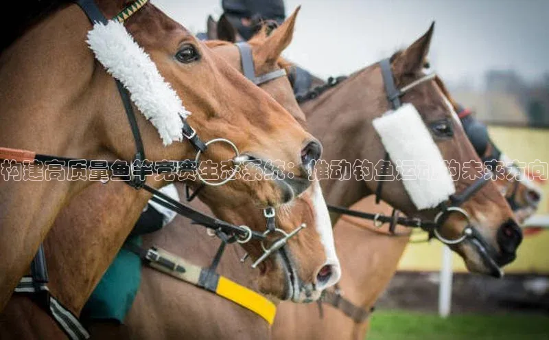 构建高质量鱼竿竞赛生态系统：推动钓鱼运动的未来方向