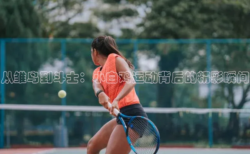 从雏鸟到斗士：小白鸡运动背后的精彩瞬间