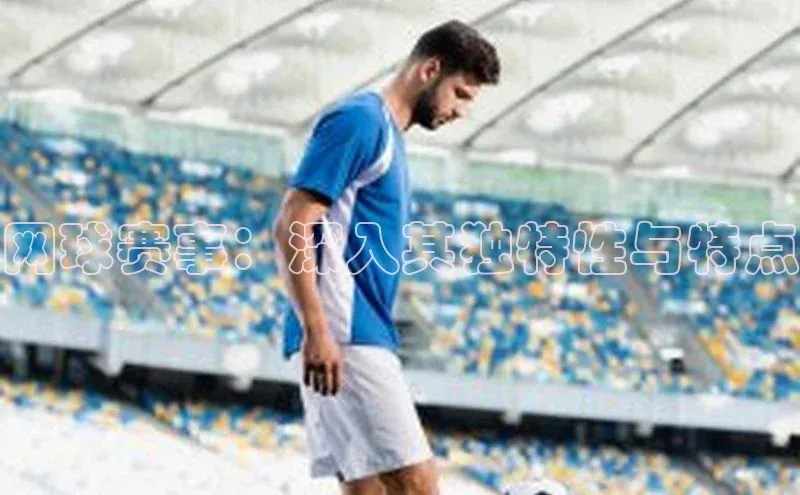 网球赛事：深入其独特性与特点