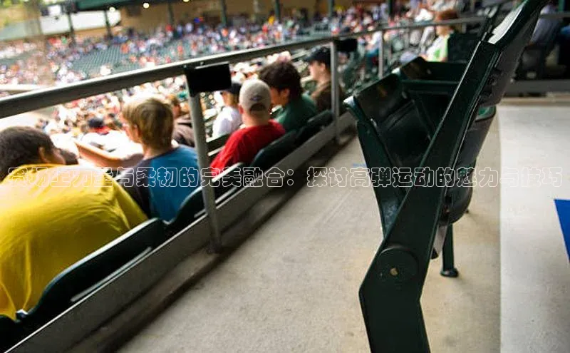 赛场上力量与柔韧的完美融合：探讨高弹运动的魅力与技巧