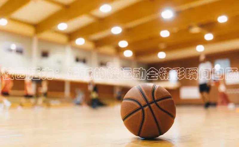 校园活力：最近的校运动会精彩瞬间回顾
