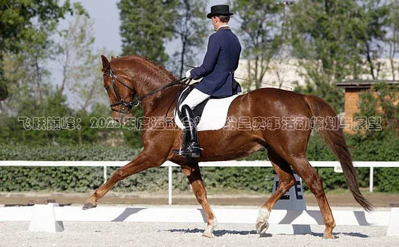 飞跃巅峰：2023年度运动会精彩纷呈赛事活动策划与展望