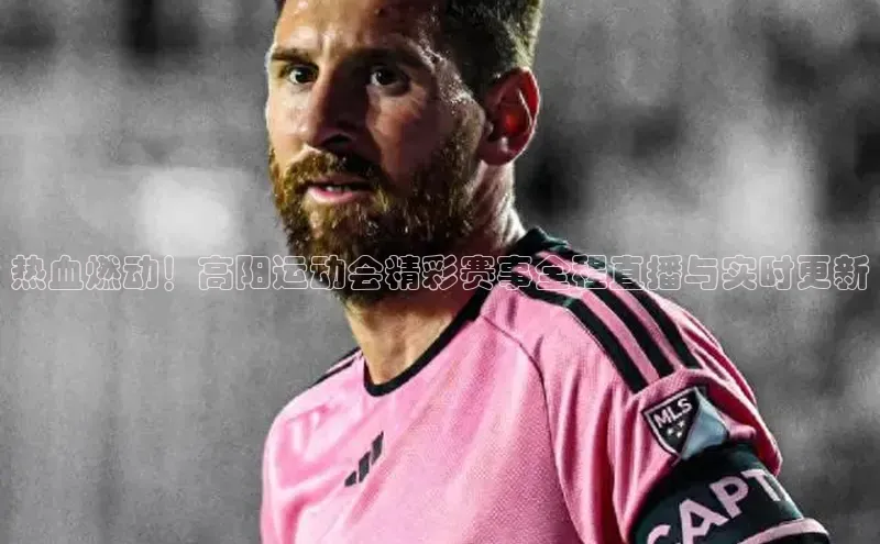 热血燃动！高阳运动会精彩赛事全程直播与实时更新