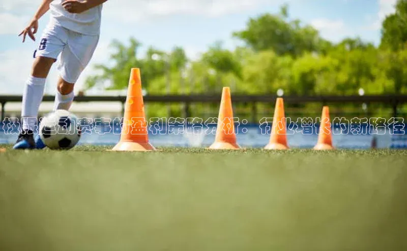 极限运动赛事的盈利策略分析：行业增长的新路径
