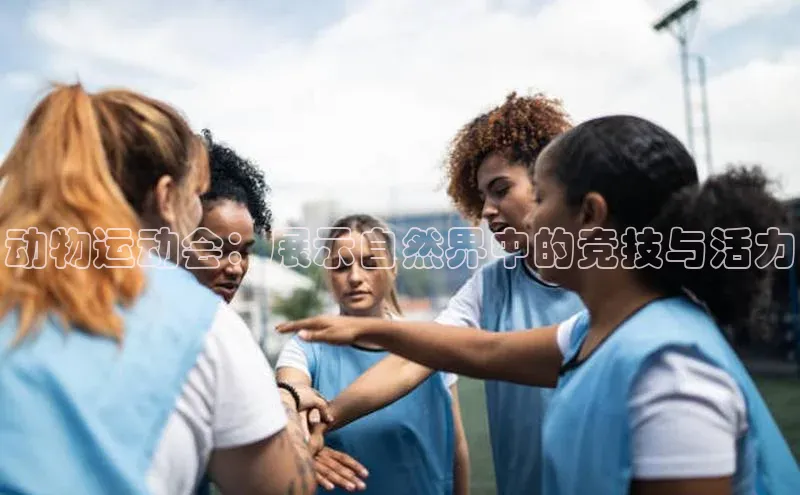 动物运动会：展示自然界中的竞技与活力