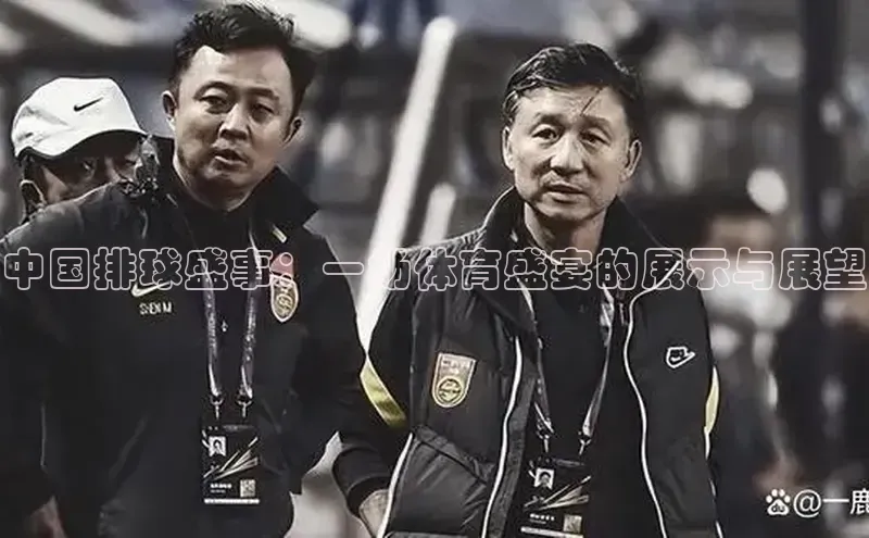 中国排球盛事：一场体育盛宴的展示与展望