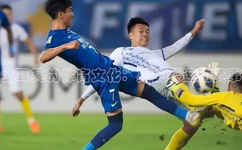 土耳其的体育文化：其主要运动赛事