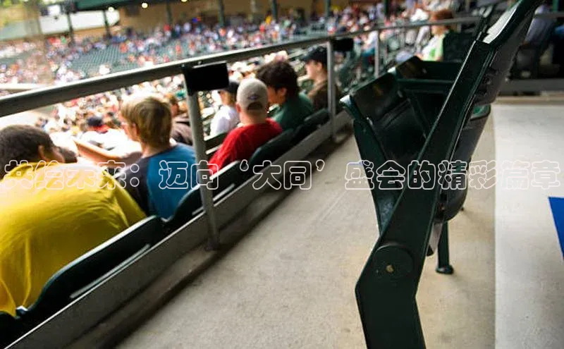 共绘未来：迈向‘大同’盛会的精彩篇章