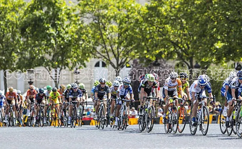 辉达平台网页版入口