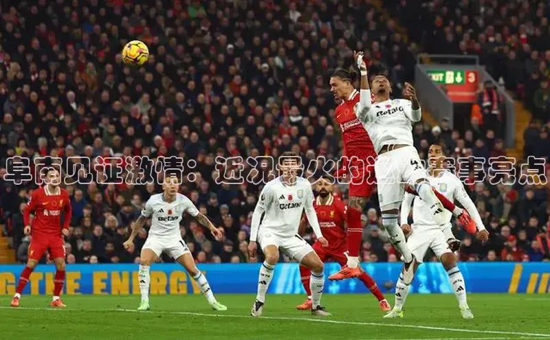 辉达App登录入口