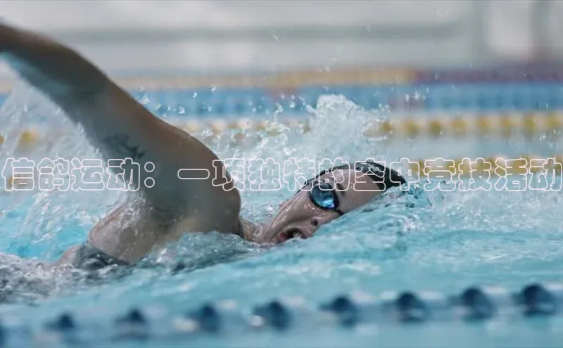 辉达平台网页版入口