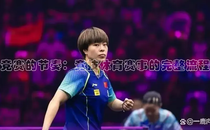 辉达平台登录入口