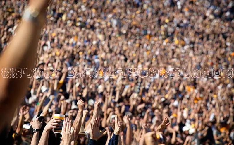 辉达娱乐平台app下载