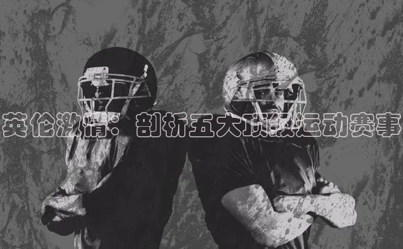 辉达app官方下载