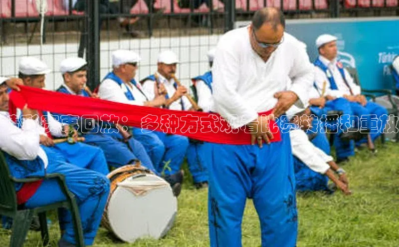 精彩赛事回放：多种方式观看比赛转播和重放