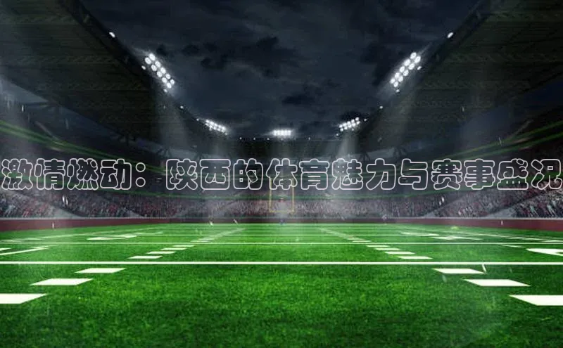 激情燃动：陕西的体育魅力与赛事盛况