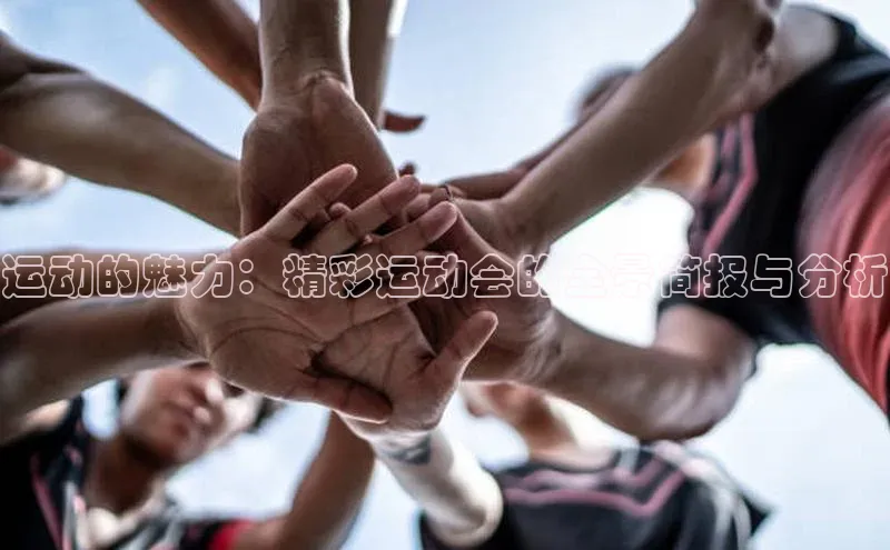 辉达娱乐app官网入口
